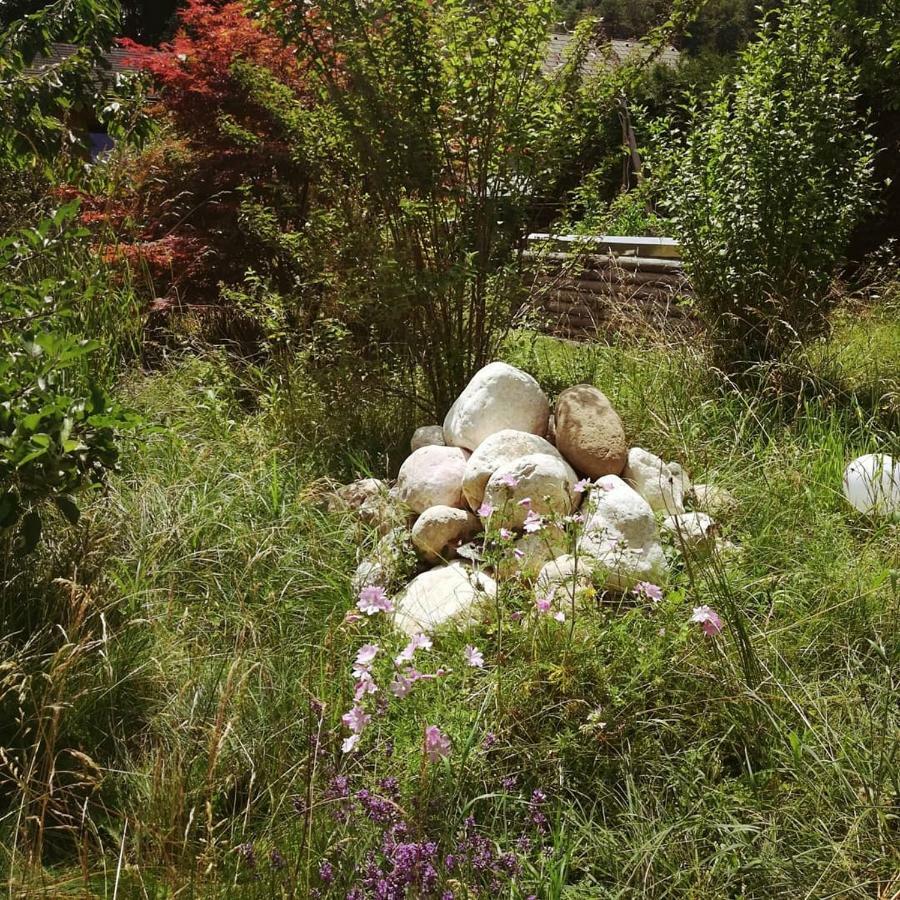 Ferienhaus In Der Schlipfing Mit Garten Altmünster Eksteriør billede